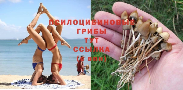 экстази Алзамай
