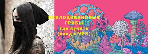 a pvp Алексин