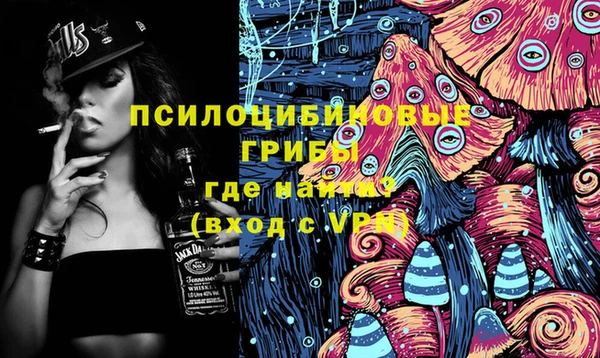 a pvp Алексин
