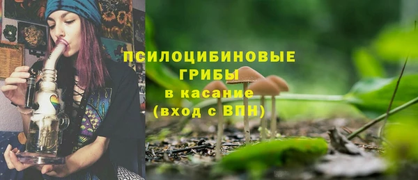 a pvp Алексин
