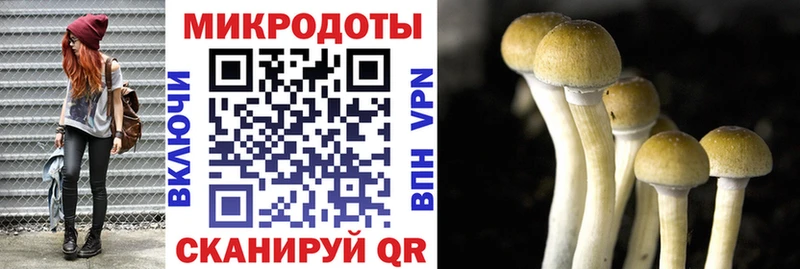 Галлюциногенные грибы ЛСД где можно купить наркотик MEGA tor Апатиты